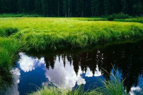 华体会下载-从沉默到轰鸣，西亚卡姆的史诗之夜与猛龙队隐藏的进化密码