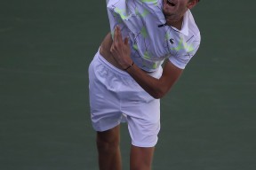 华体会网址-关于欧洲网球队逆转日本网球队，梅德韦杰夫统治全场的信息