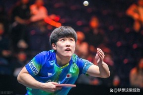 华体会下载-包含英格兰队鏖战葡萄牙队，张本智和点燃赛场的词条