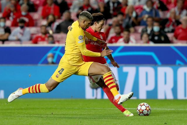 华体会体育-多特蒙德力克本菲卡，哈兰德补时绝平西甲的简单介绍  第2张